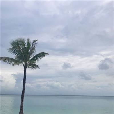 梦幻星辰破解版下载